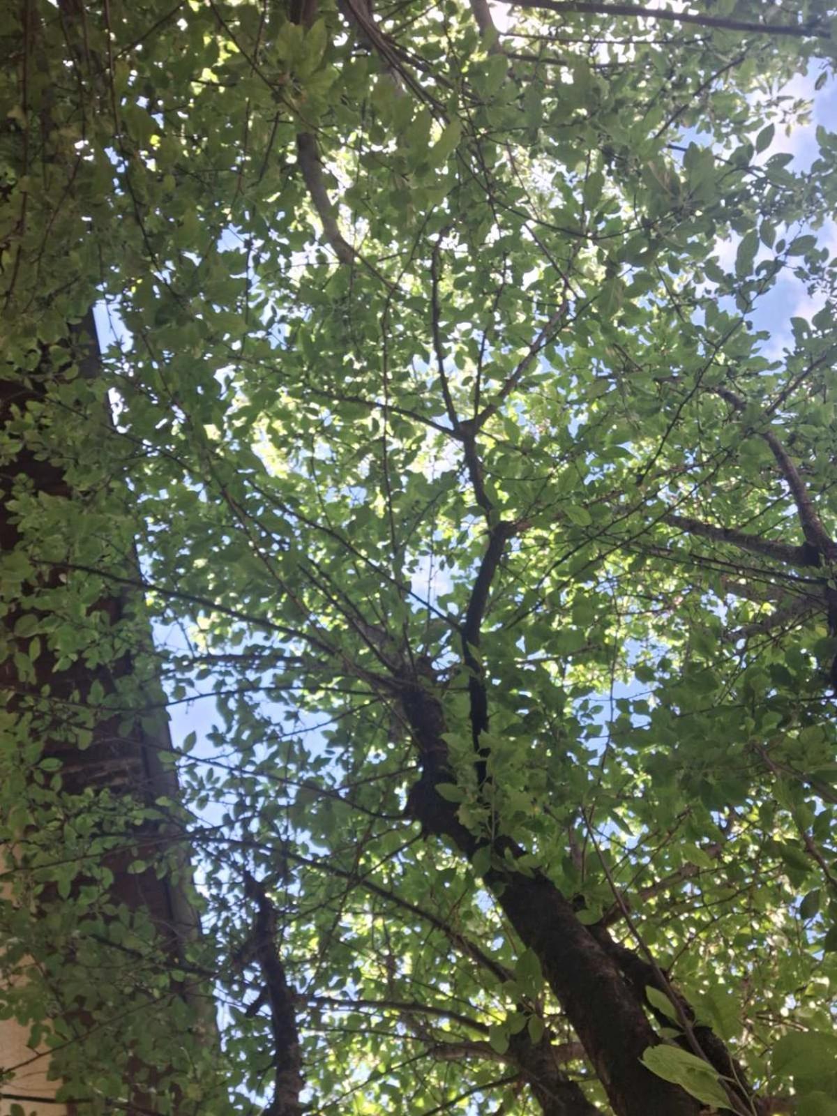 Hana * Bihać